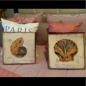 Seashell decorative wall pictures